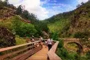 people hiking at the paiva walkways