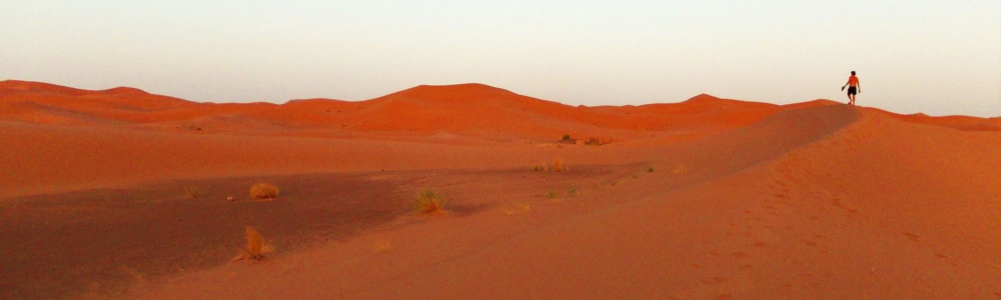 Norberto Lopes Pinto