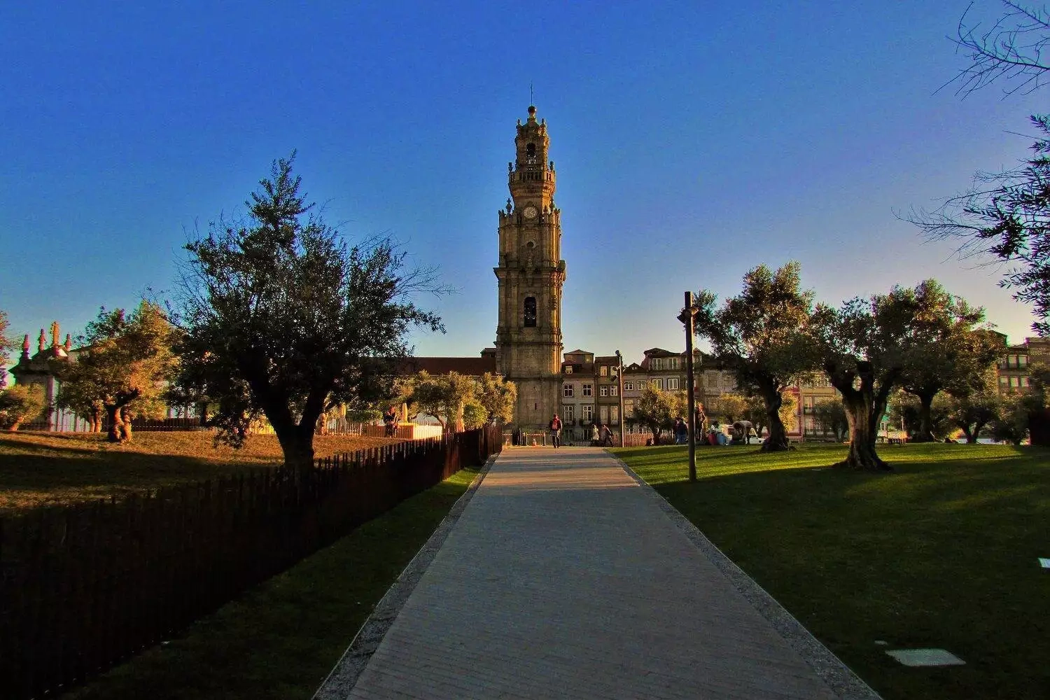 a torre dos clérigos no porto