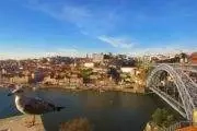 a seagull and porto downtown