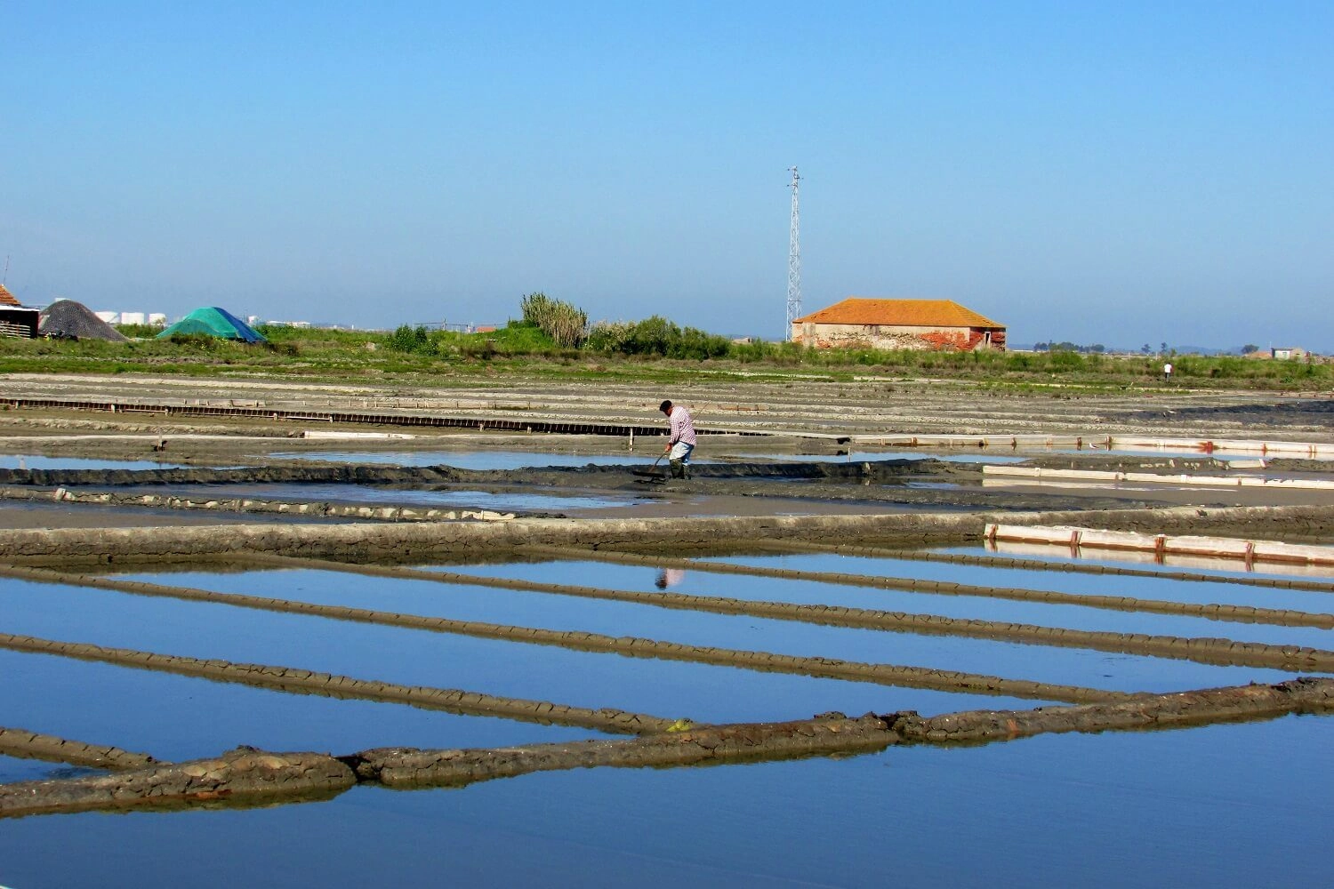 salinas en aveiro