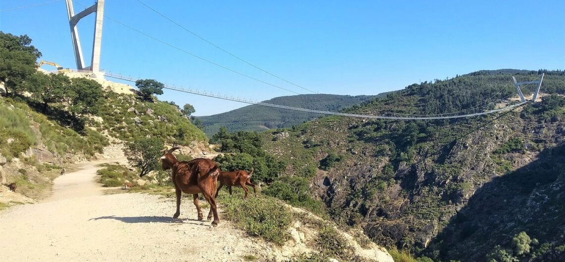 passeio pelos caminhos do paivá