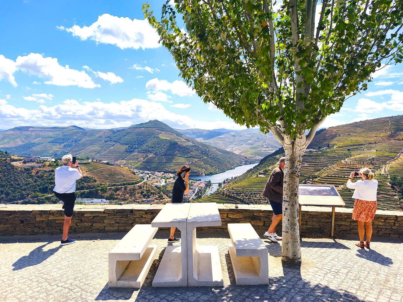 Valle del Duero Tour Privado